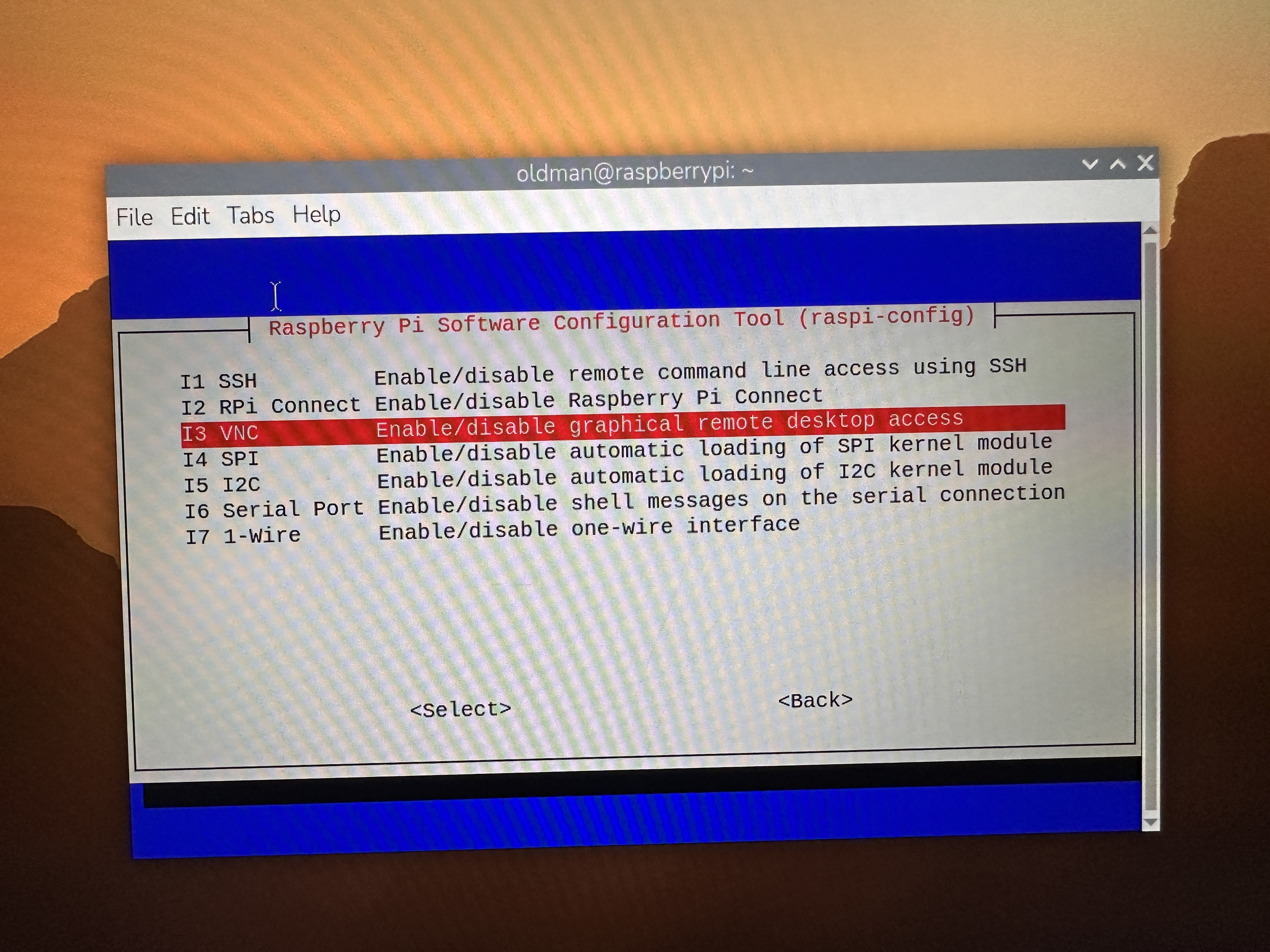 raspi-config Interface Options